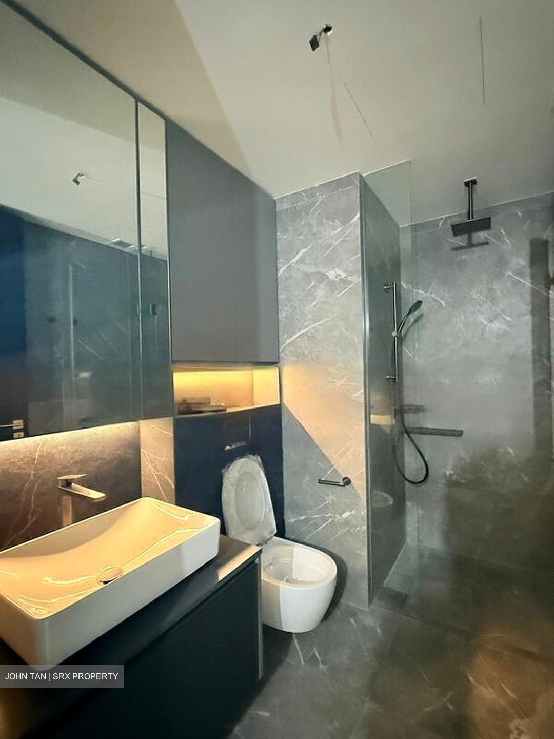 Irwell Hill Residences (D9), Apartment #548527311